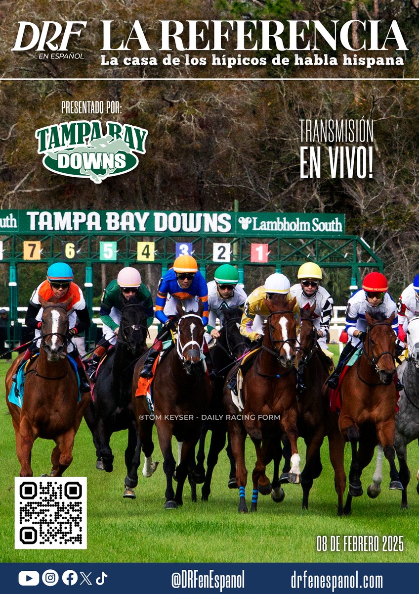 PotroRob's tweet photo. 𝗟𝗔 𝗥𝗘𝗙𝗘𝗥𝗘𝗡𝗖𝗜𝗔
TAMPA BAY DOWNS🏇🏻
Febrero 8 #SamFDavis
Top Beyers🔥
Datos DRF Formulator
Proyección TimeFormUS
1 X Carrera de cada analista
Ejercicios destacados⏱️
Avalada por #DailyRacingForm
Totalmente GRATIS!
“Recojan sus Mangos🥭🥭”
🔗https://t.co/uVTTDtLZmQ https://t.co/dNzWQJGlUM