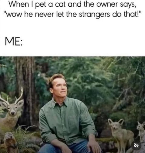 WholesomeMeme's tweet photo. https://t.co/w6I01svNeQ