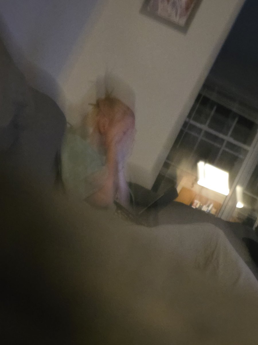 XarinaUpdates's tweet photo. I managed to get a picture of @XarinaVT sorry for the shaky hands! I was behind the couch and was so nervous π₯Ή
#iloveyousomuch #pleaseseeme https://t.co/IoTSRrw7Ya