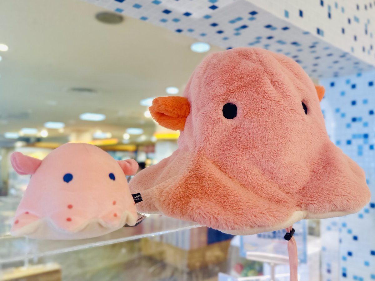 ◇◇深海生物まつり開催中◇◇ なりきり帽子にカトラリーに文房具も