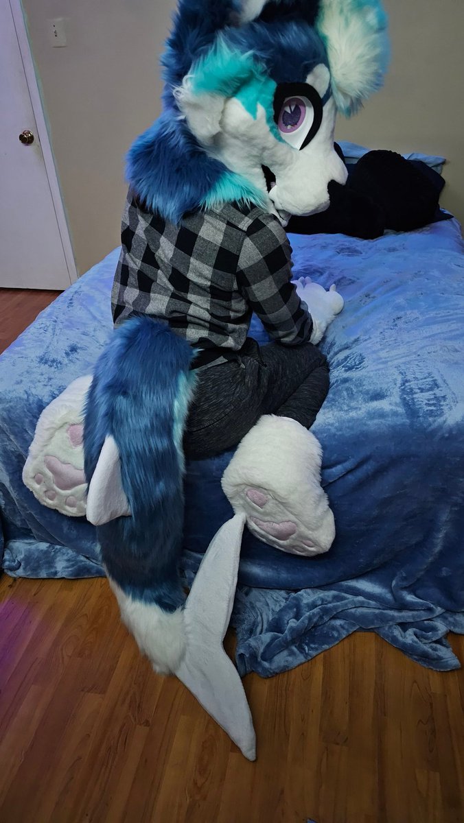 ⚠️🩵 WARNING: Shark on bed!! 🤍⚠️
#FursuitFriday #furry #fursuiter