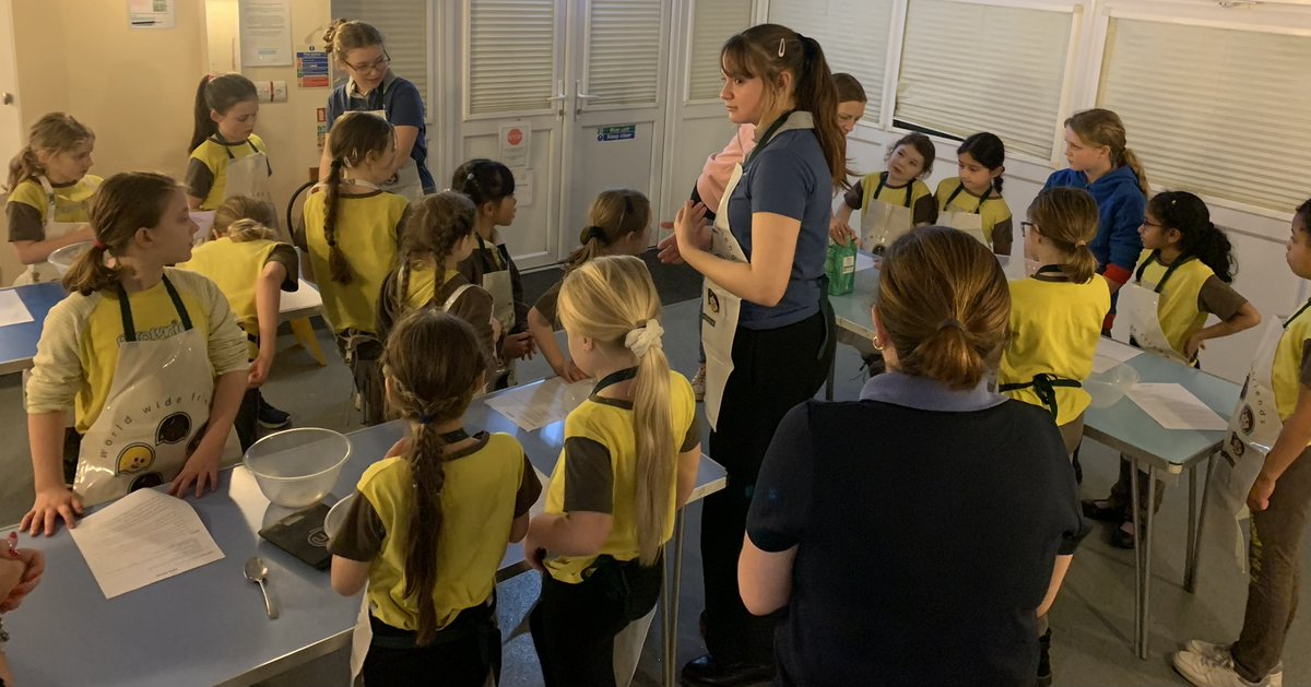 3rd Burgess Hill Brownies tweet media