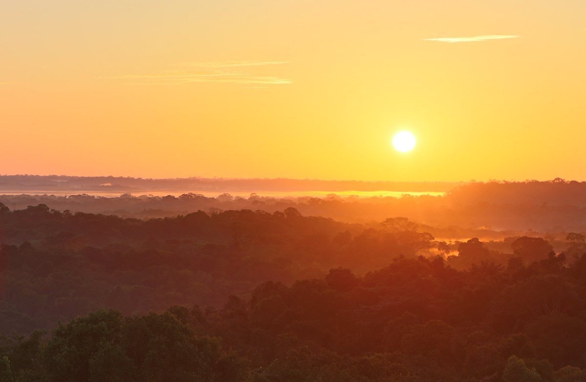 Vitek Jirinec (@vitekjirinec) on Twitter photo We’ve been documenting how climate change is impacting birds in Amazonia, but this is the first paper to reveal direct negative demographic consequences. Over 27 years, harsher dry seasons slashed survival—up to 63% with just a 1°C rise. science.org/doi/10.1126/sc…
#ClimateChange We’ve been documenting how climate change is impacting birds in Amazonia, but this is the first paper to reveal direct negative demographic consequences. Over 27 years, harsher dry seasons slashed survival—up to 63% with just a 1°C rise. science.org/doi/10.1126/sc…
#ClimateChange