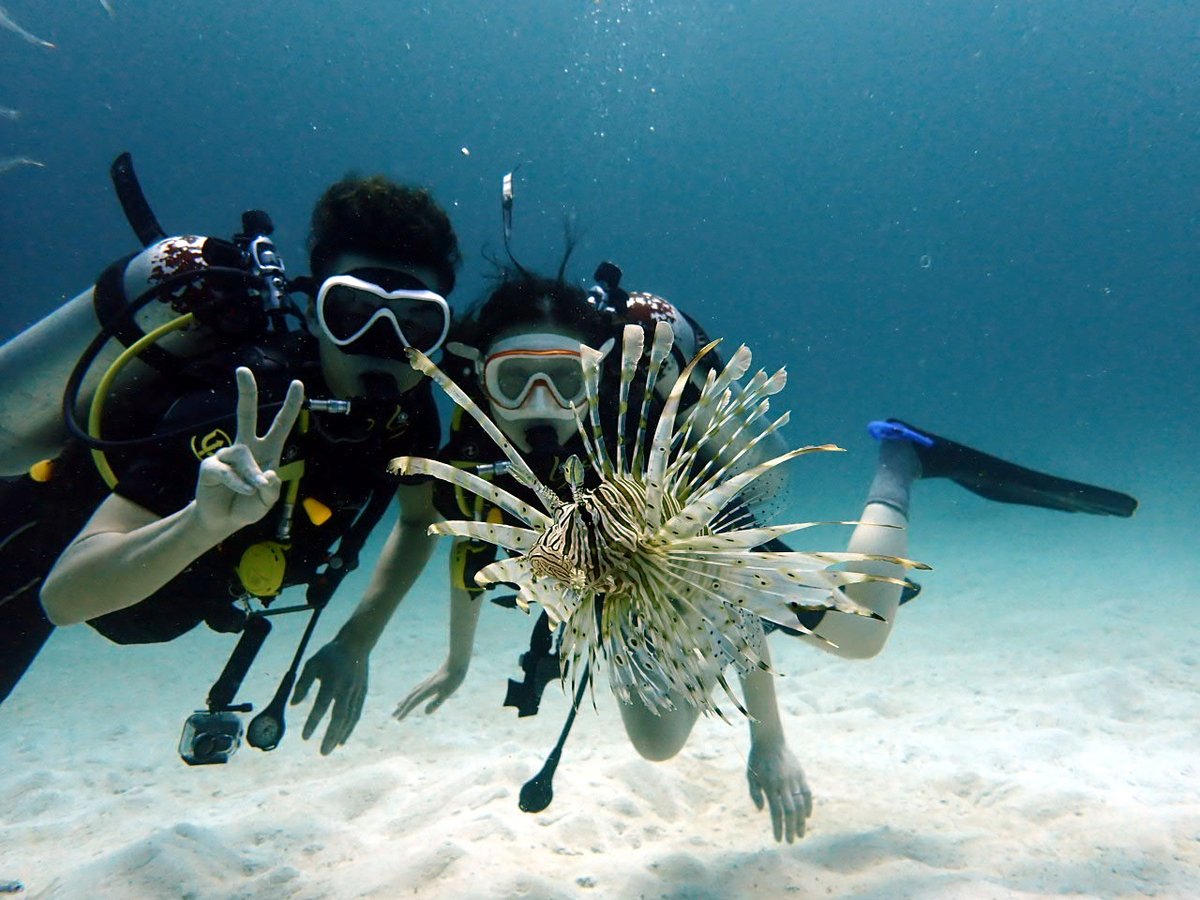 新婚旅行でプーケットを訪れたお二人。旦那様と一緒にダイビングをしようと、奥様は日本の寒い冬の海でドライスーツを着てオープンウォーターを取ったそうです。今日はプーケットの温かい海で、たくさんの魚たちに囲まれました。
greendiverphuket.com/2025/02/07/2-7…
#プーケット #ダイビング #phuket #diving