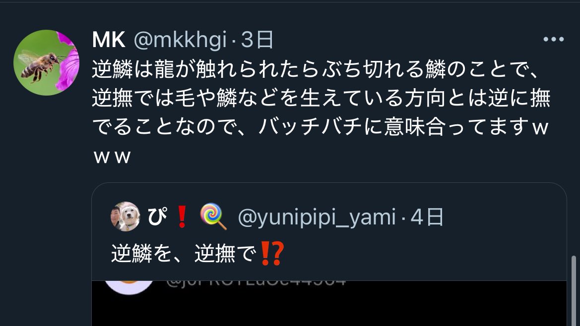 kurokami_kbt's tweet photo. 「逆鱗を逆撫で」の擁護してる人、ほかのレスバ(しかも乱入)でもバチバチに負けてて義務教育って大事なんやなって思った https://t.co/zM5chjGdW5