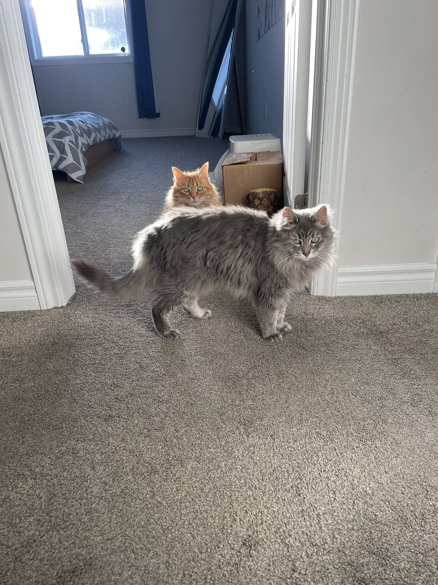 …new album cover just dropped