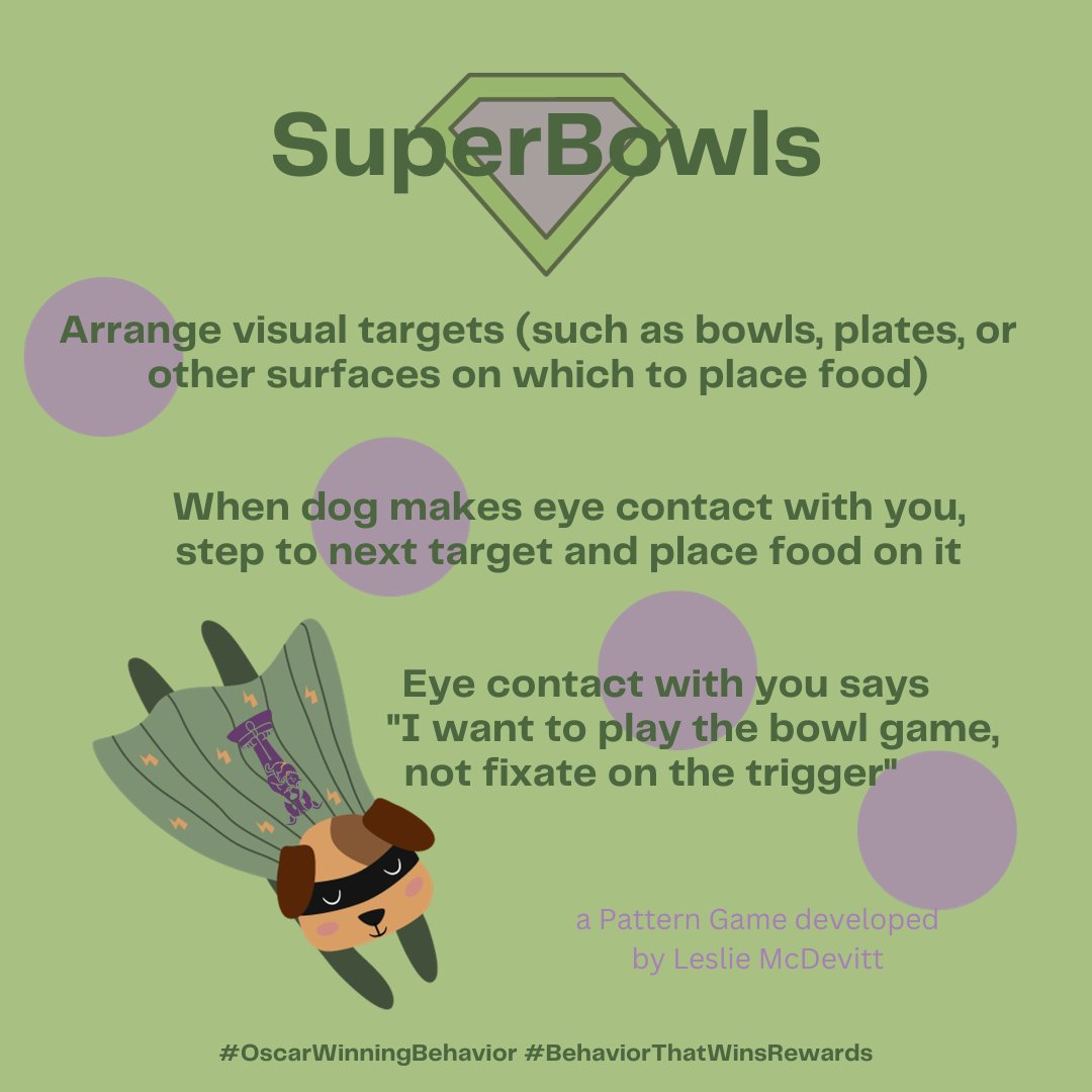 OscarWinning's tweet image. Are you getting excited about SUPERBOWLS SUNDAY? #superbowl #superbowls It&apos;s a great game to play with your dog (or watch on TV with them!) #BehaviorThatWinsRewards