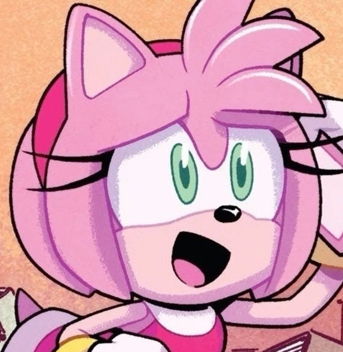 Amy Rose tweet media