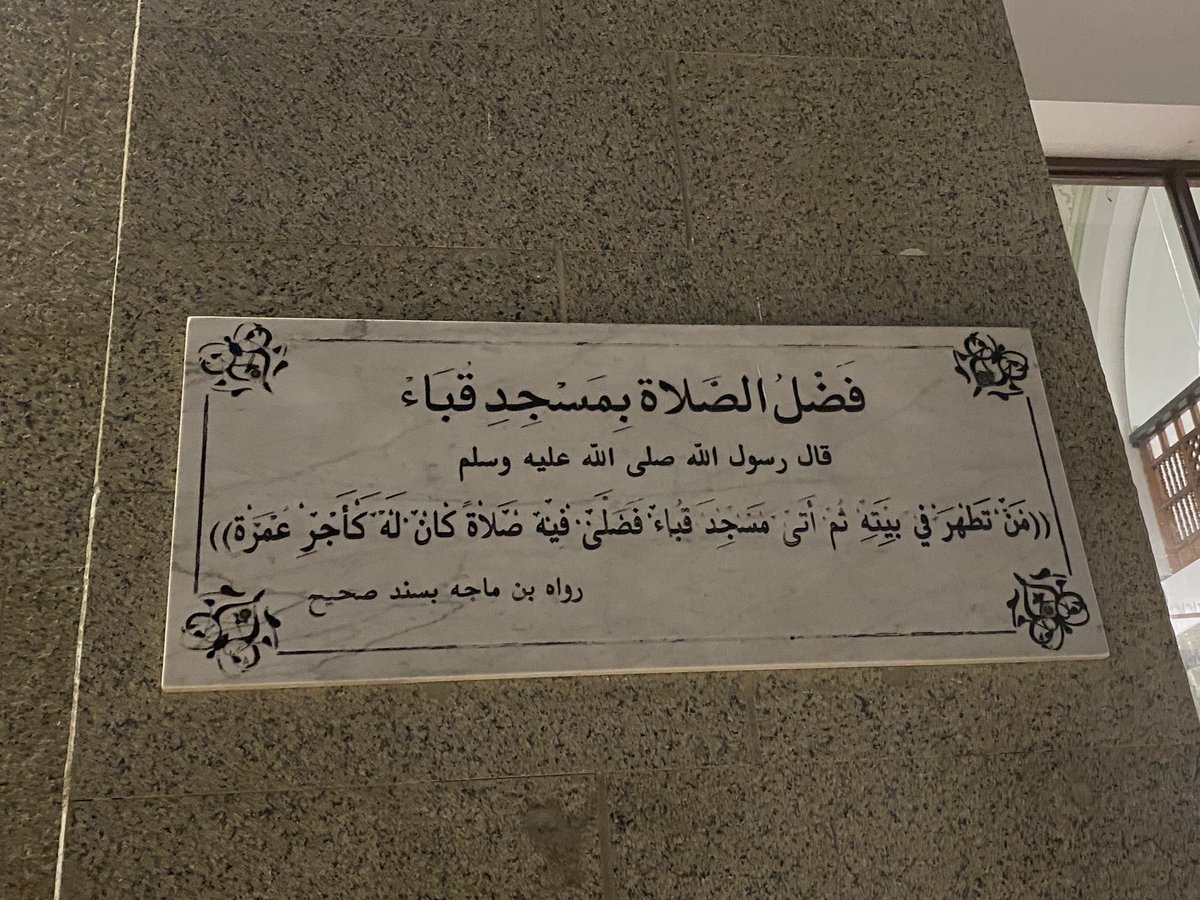 Safaa_Nabel's tweet photo. 🌿♥️ https://t.co/tgUus5Hdem