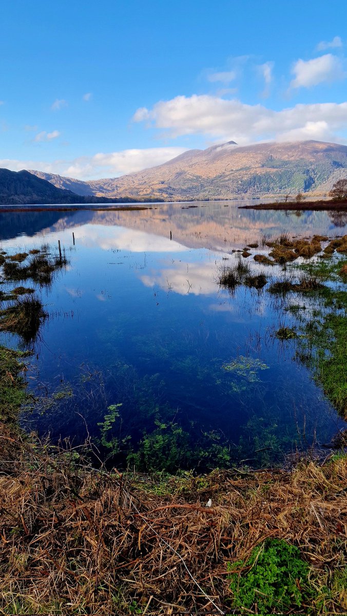Muckross (Middle) Lake today #LoveKillarney