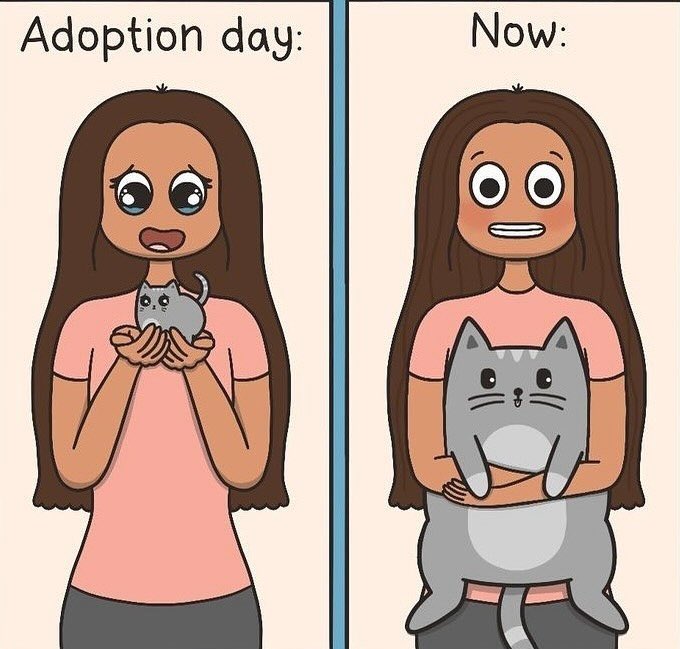 💖 (@twaniimals) on Twitter photo 