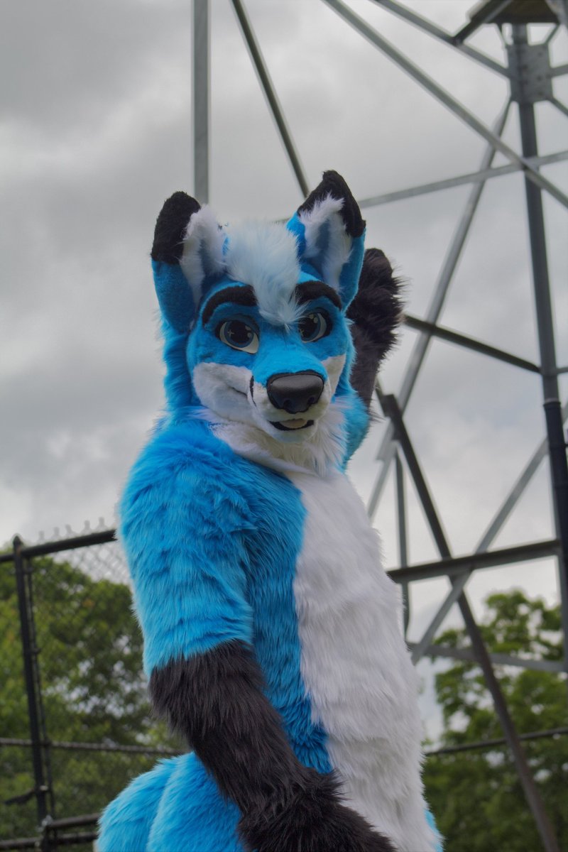 Curaçao🔜FZ🇮🇹🔜AWOO🇦🇹 tweet media