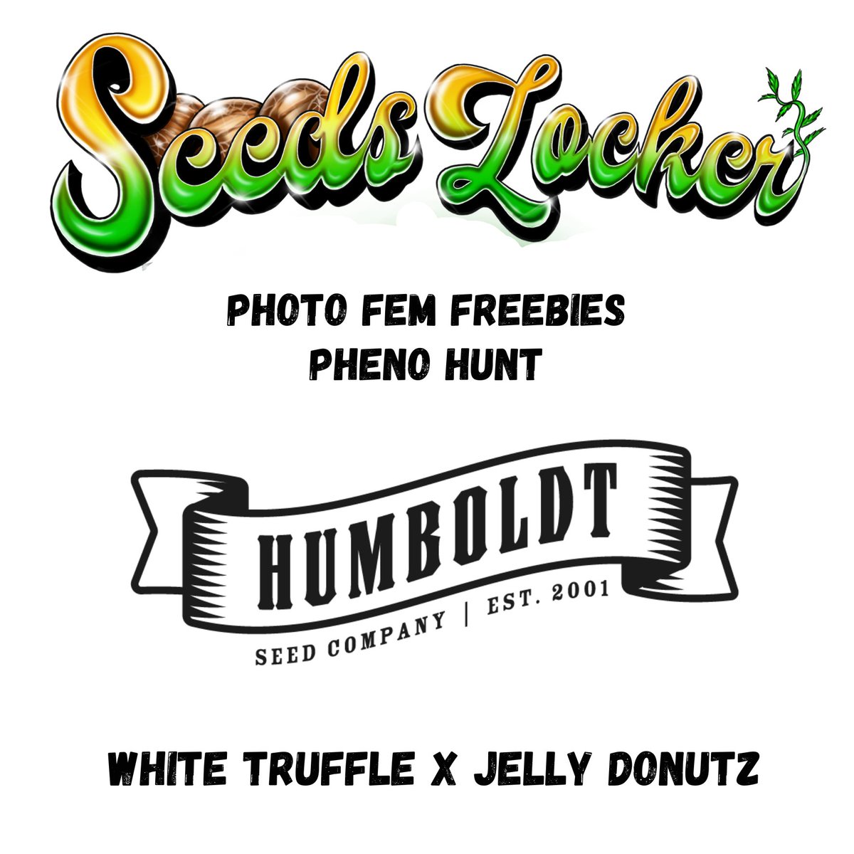 Humboldt Seed Co latest drop now live at seedslocker.com with some 🔥 photo fem freebies!

#seedslocker #seedbank #photoperiod #humboldtseedcompany