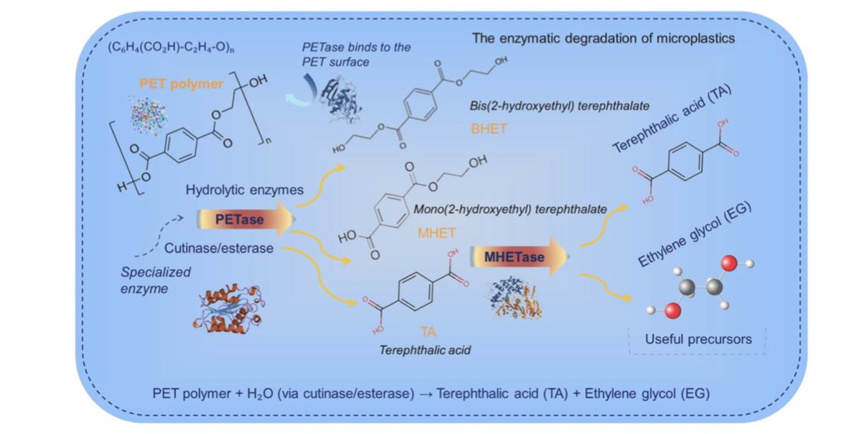 New shine papers from my group ✌️

Microplastic accumulation in soils: Unlocking the mechanism and biodegradation pathway

Link:sciencedirect.com/science/articl…