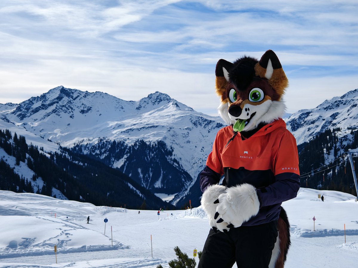 Did you know that coyotes are also common in snowy areas?

#FursuitFriday