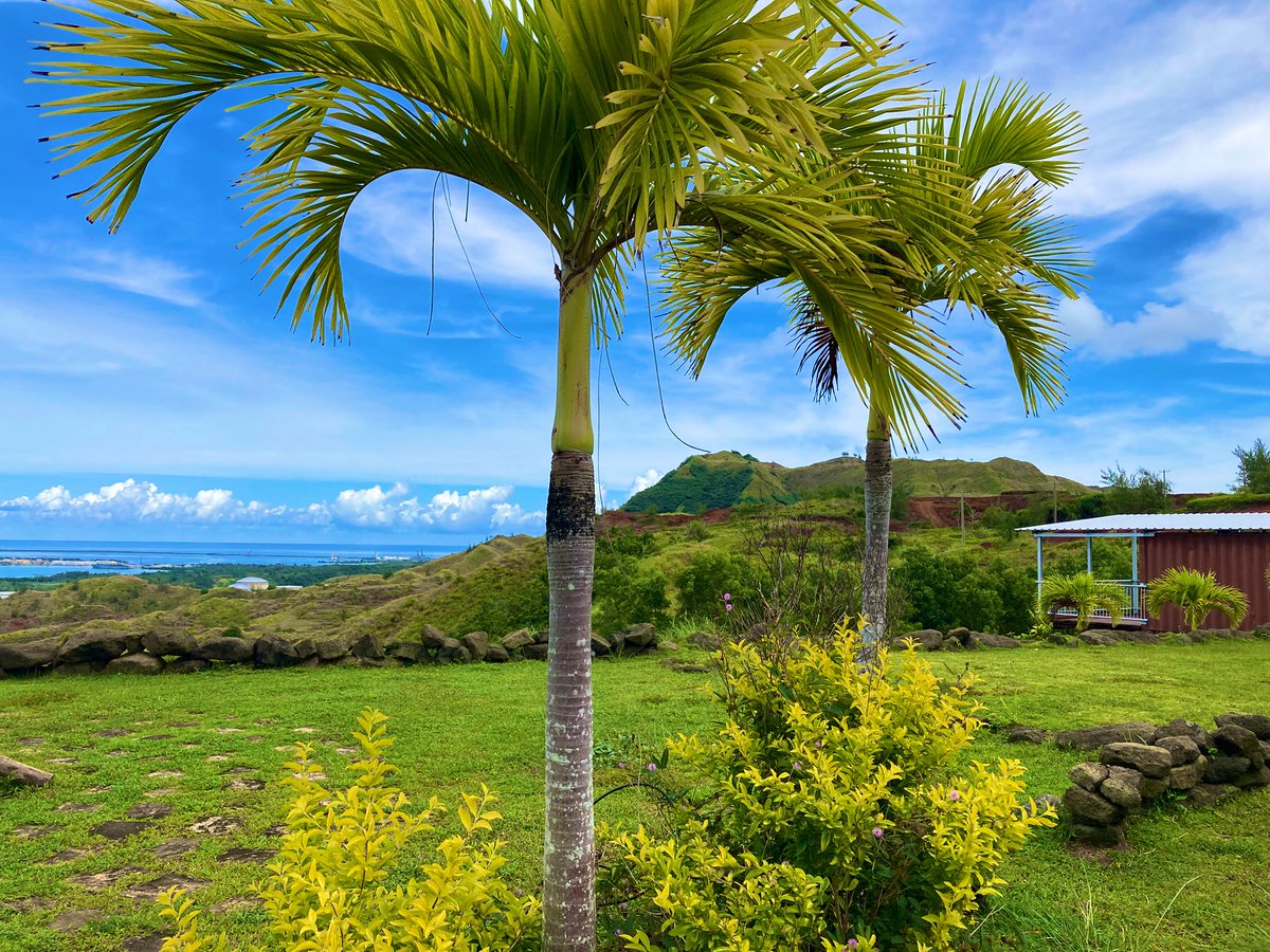 役職ついてからほぼ毎日残業だからー

デパコスやデパコスのメイクブラシ数本買っちまってよー

自分のだけで5万でよー

もっと欲しいのあってよー

でもよー3月タイ行くし、5月韓国行くし国内もあるしよー

貧乏なくせによー

でもさー

ストレス発散が自分の美に力を入れるって素敵やんね

キャハッ