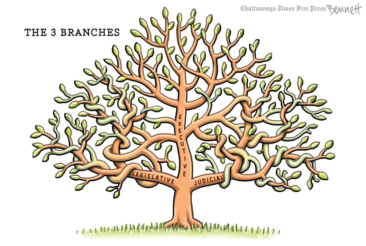 BennettCartoons's tweet image. 2/8/2025- The 3 Branches #Trump #ExecutiveBranch #ThreeBranches #BalanceOfPower timesfreepress.com/news/2025/feb/…