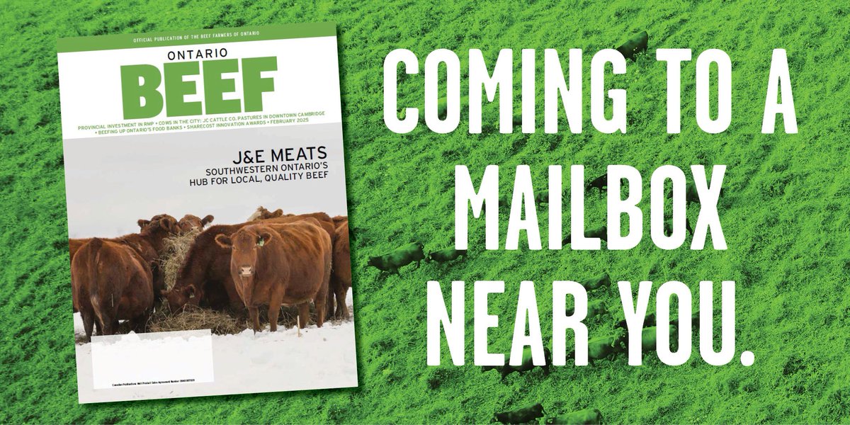 It's baaack! Our February issue of Ontario Beef magazine will return to mailboxes later this month. Enjoy some weekend reading and get a sneak peek here: ontariobeef.com/communications…