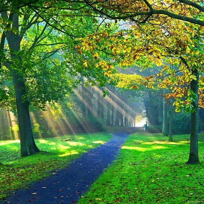 honky_tonk's tweet image. Cosmos is always giving blessings on your life path.
Please trust the excitement of this moment.

宇宙は常に、あなたの人生の進路に祝福を与えています。
この瞬間のワクワクを信頼されてください。
#blessing #祝福 #exciting #ワクワク
RP @Drc_19