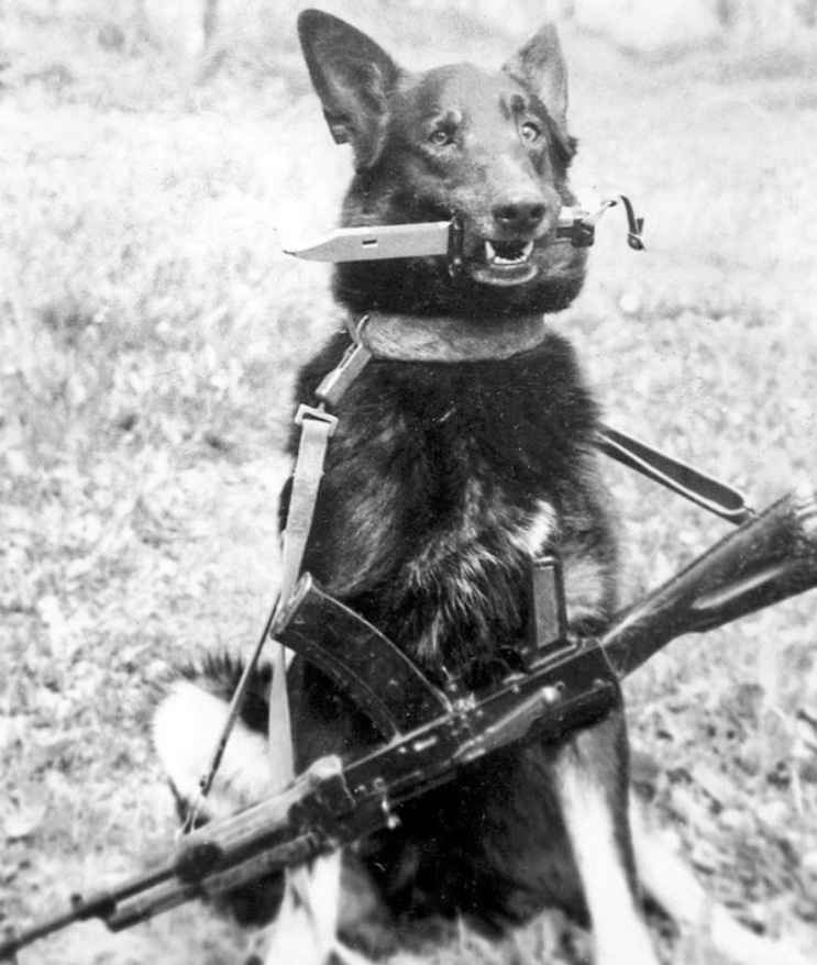 A sketch based off a reference from <a href="/Zenithell/">Zen</a>