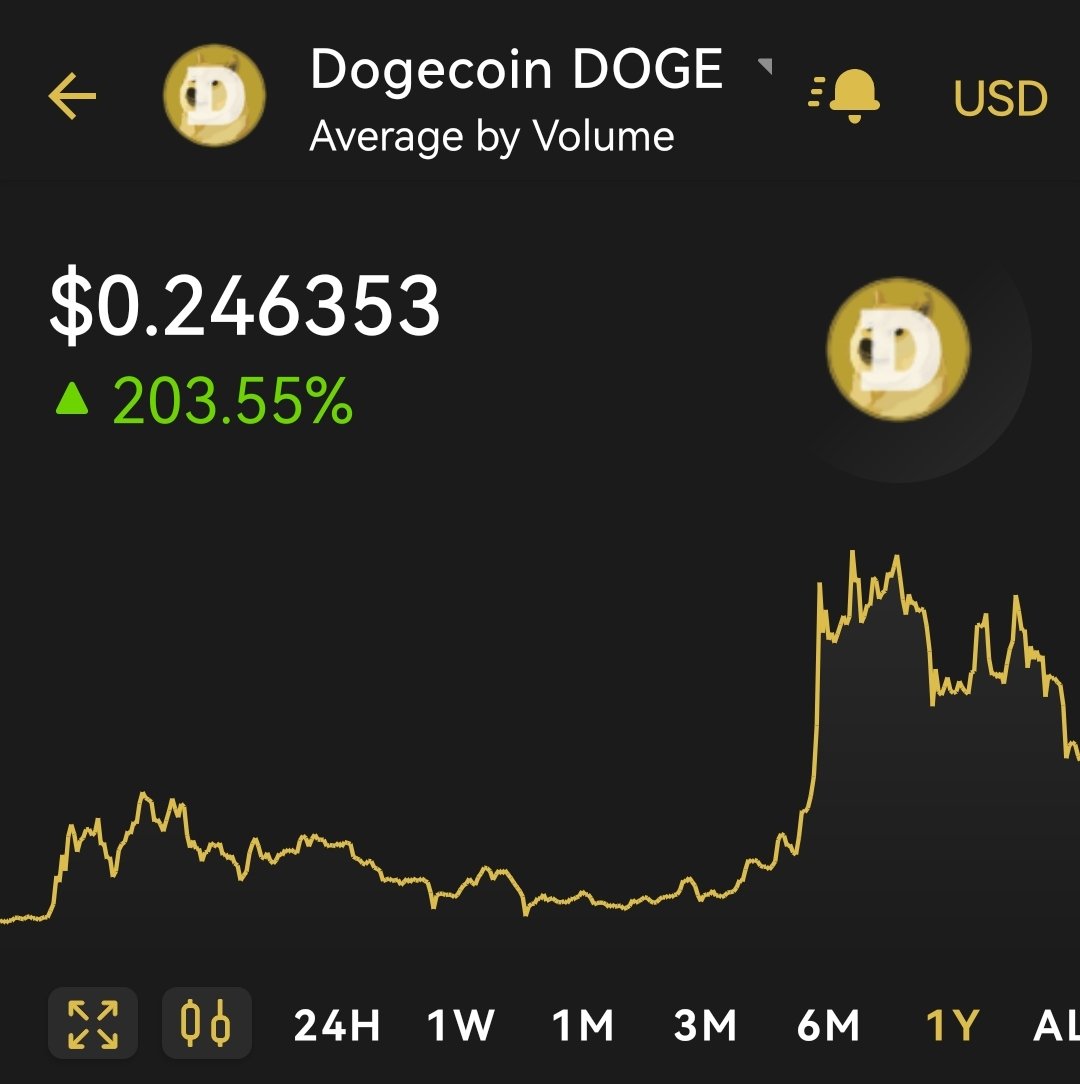 Đoge Panama 🇵🇦 tweet media