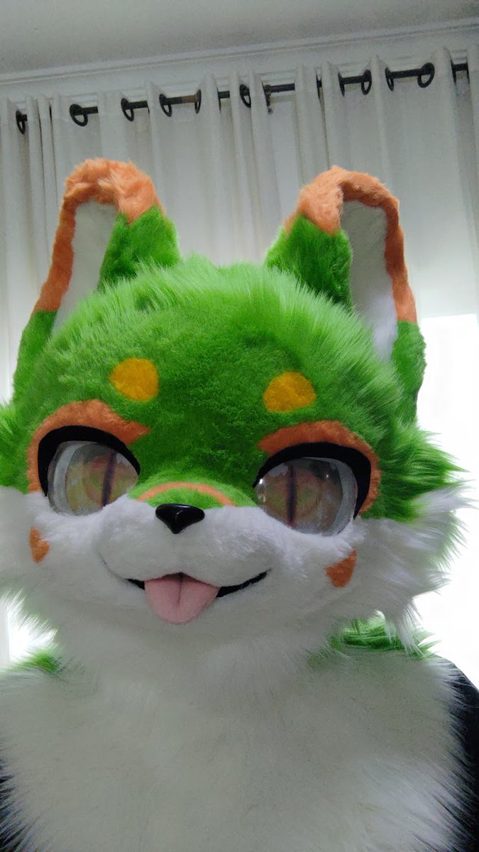 wiselupis's tweet image. And finally Lupis is born.
#fursuit #FursuitFriday #furry #furryfandom #kemono