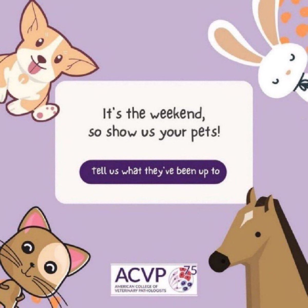 American College of Veterinary Pathologists tweet media