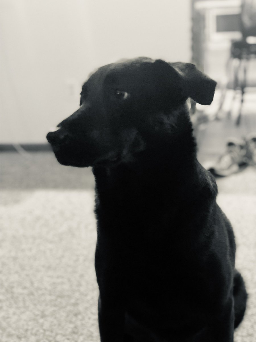 Jason A. Jeschke tweet media