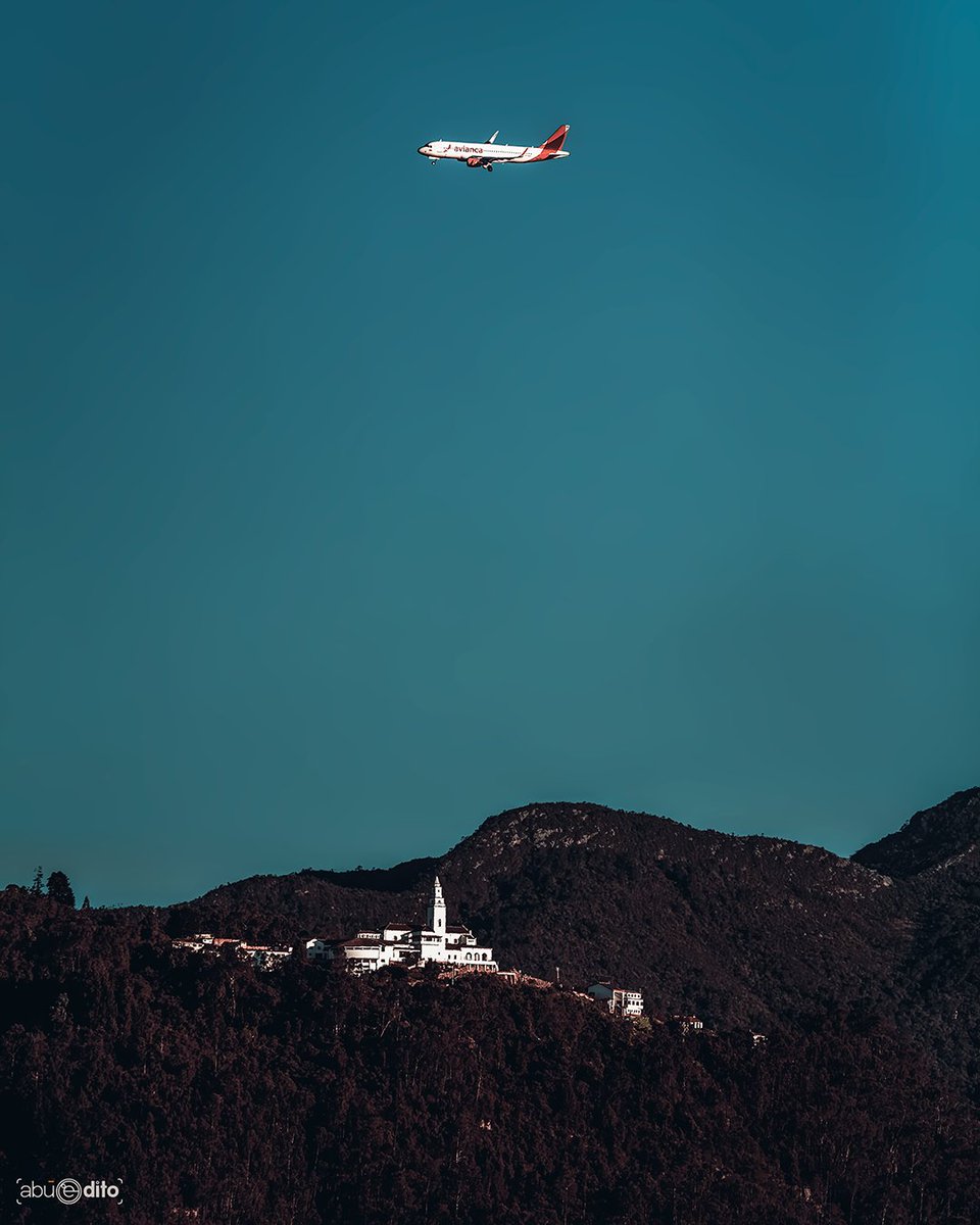 Diego Andrés Torres tweet media