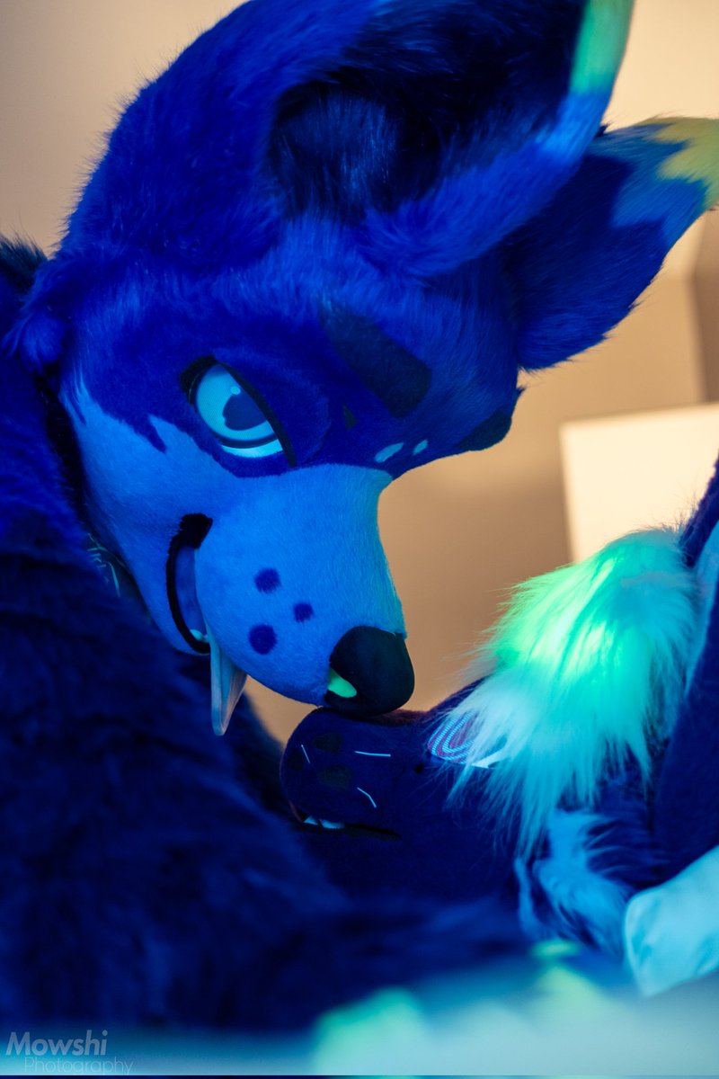 Sometimes you just have to pin a cat down, they can be feisty sometimes~

#FursuitFriday