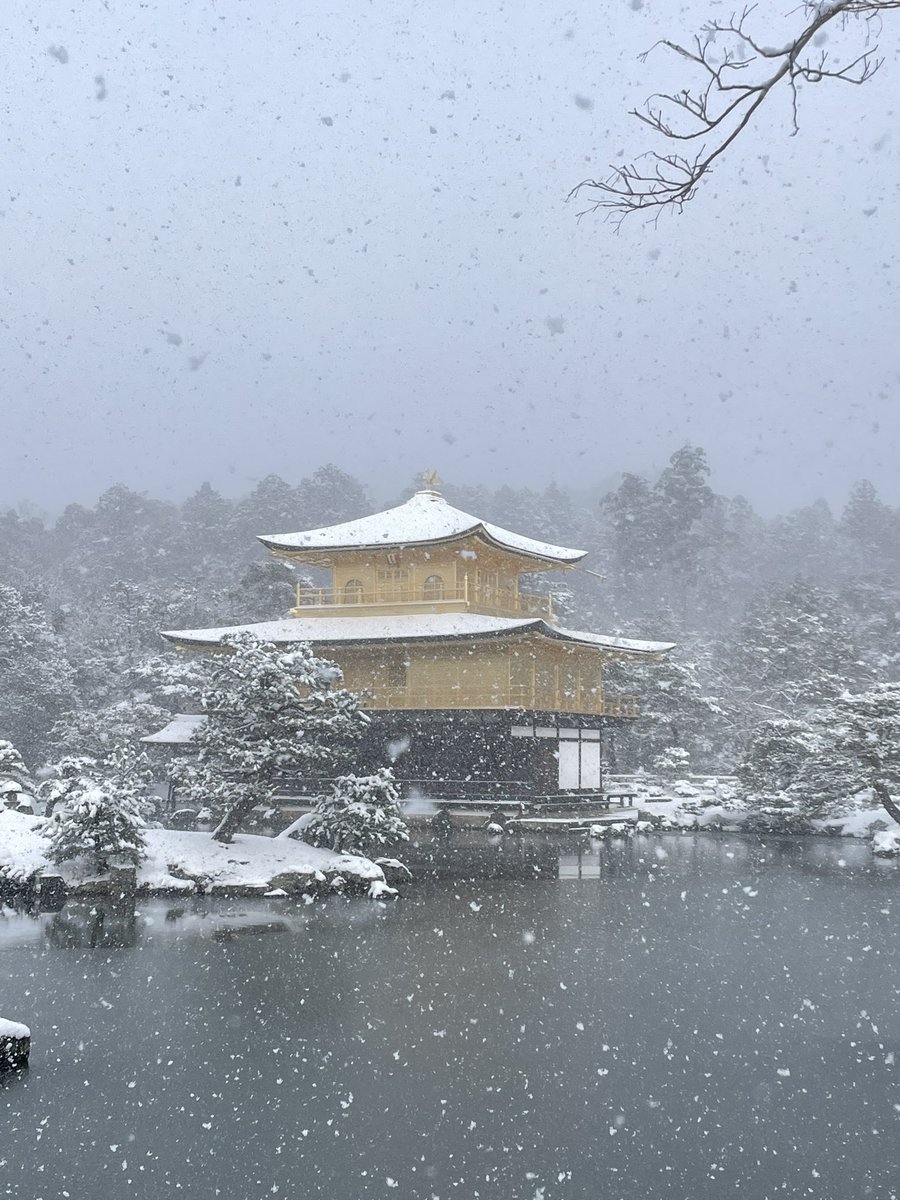 _reo_g's tweet photo. 京都7年目にしてここまで完璧な雪状態は初めて来た⛄️ https://t.co/ShOSQX9g1o