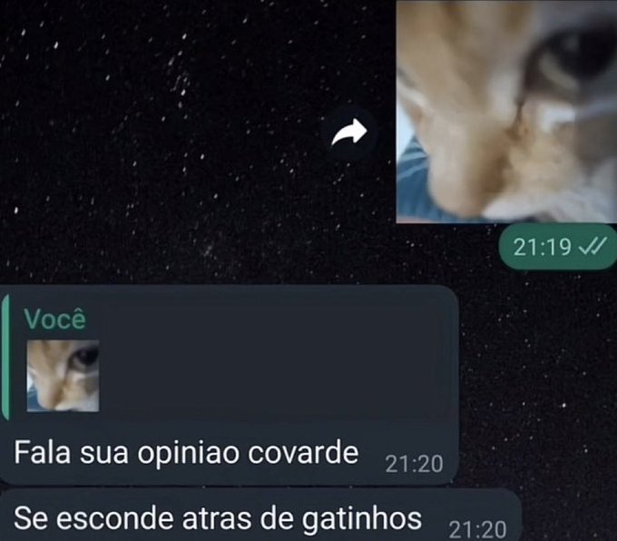 masturbe o cérebro e goze ideias (@diojodior) on Twitter photo 
