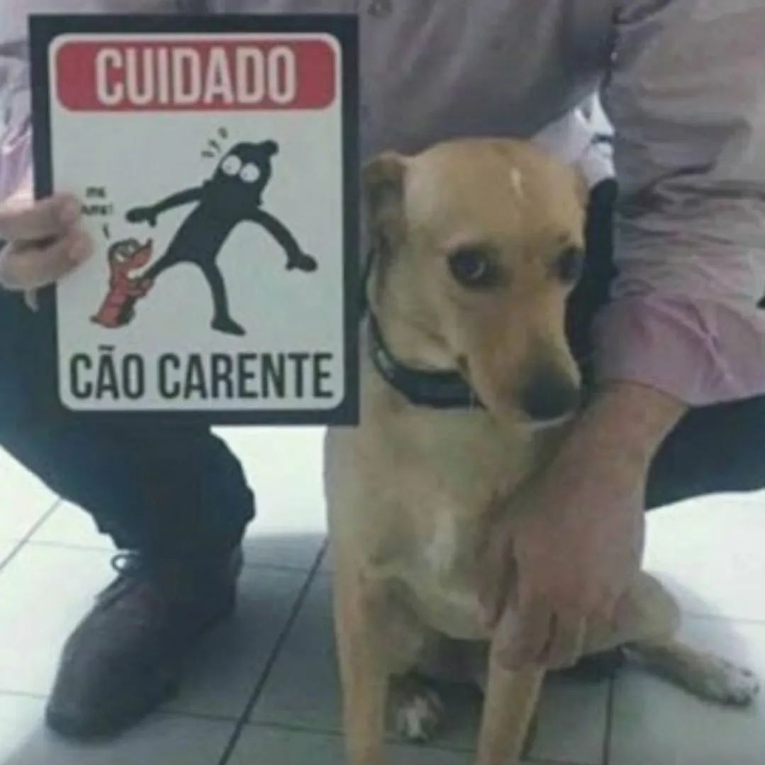 masturbe o cérebro e goze ideias (@diojodior) on Twitter photo 