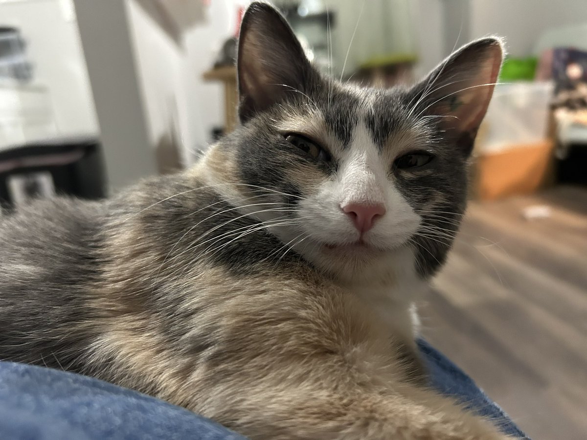 Guys help she’s doing it again