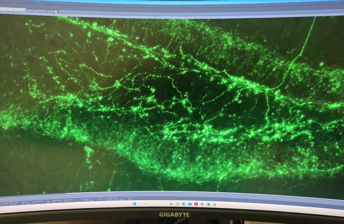 jjb930's tweet image. #FluorescenceFriday