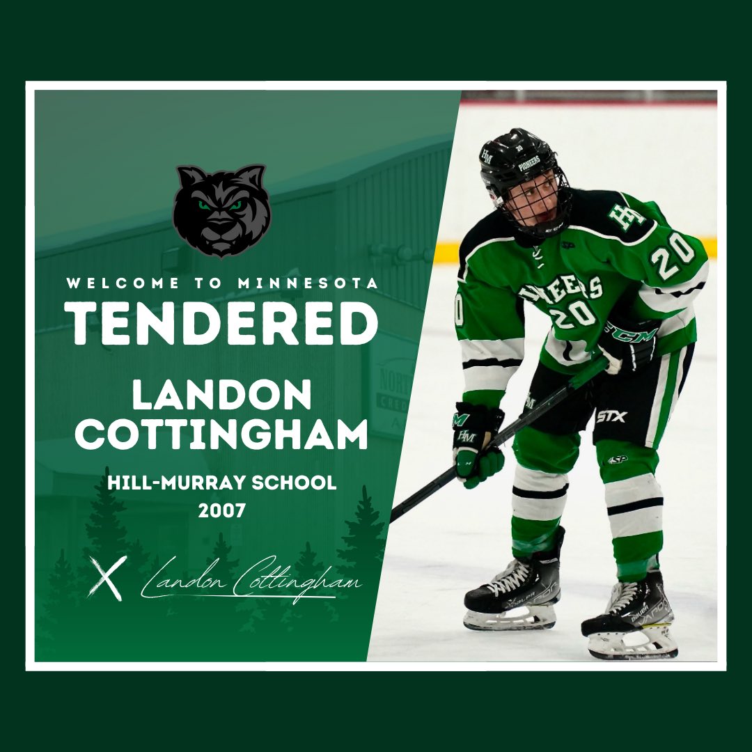 Minnesota Wilderness tweet media