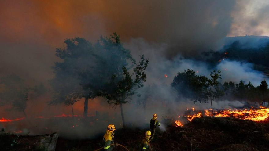 Gente el bolson se está prendiendo fuego, miles de personas perdieron sus casas y la gente que esta ahí ahora mismo está viviendo un infierno, la que se tendría que encargar de esto está de vacaciones en disney lo que esta pasando es un delito.