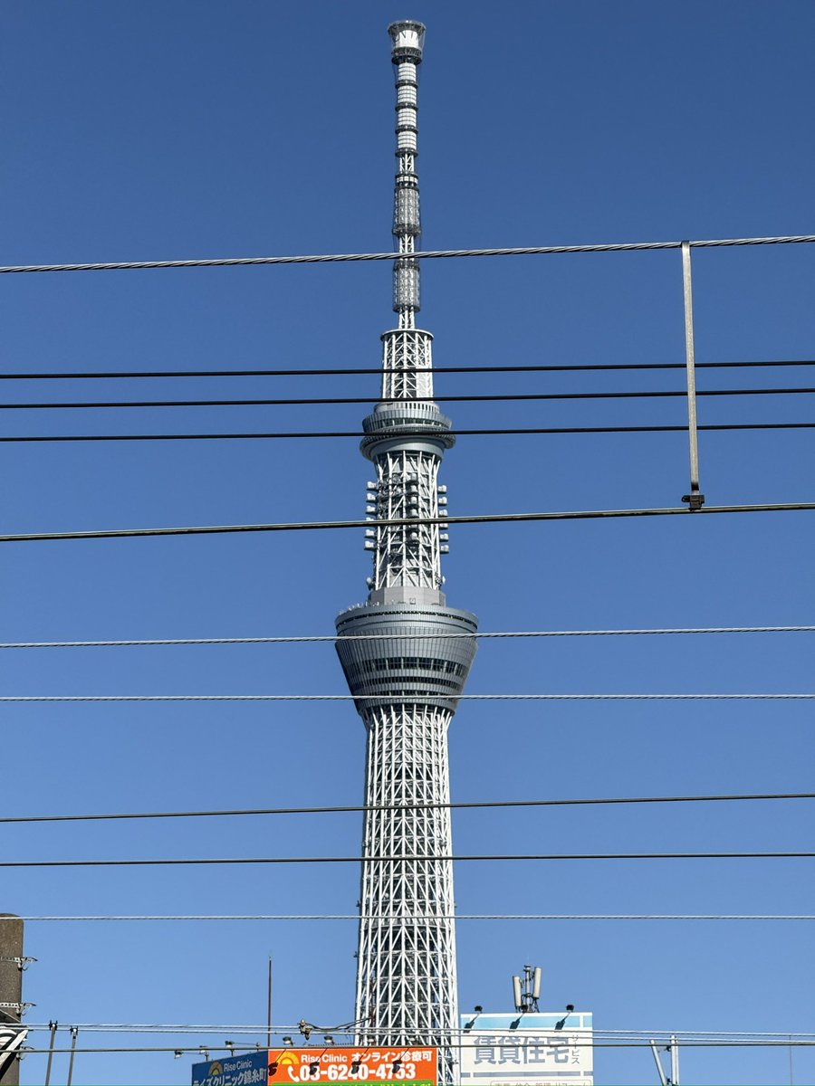 mochidesuyon's tweet photo. でけぇ https://t.co/adAcl3nJVK