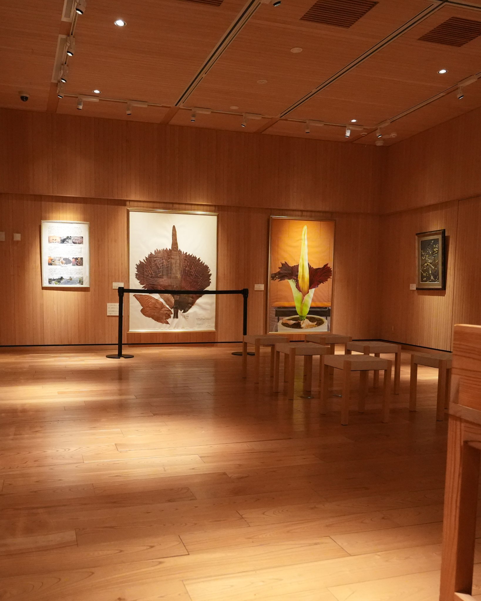 GjOihX3WMAAYMq-.jpg:large