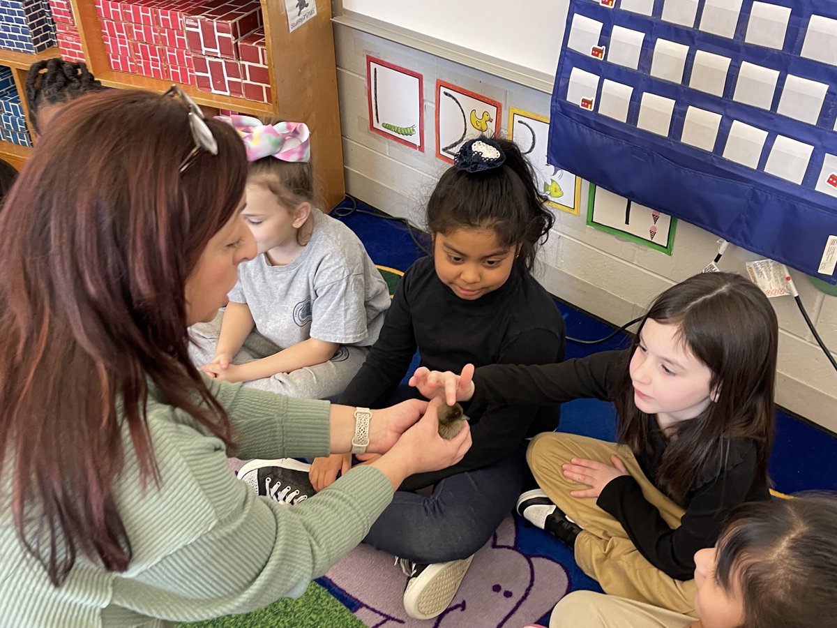 We had a great time seeing and petting the ducklings. Thanks Ms. Flannery. #believeinflc