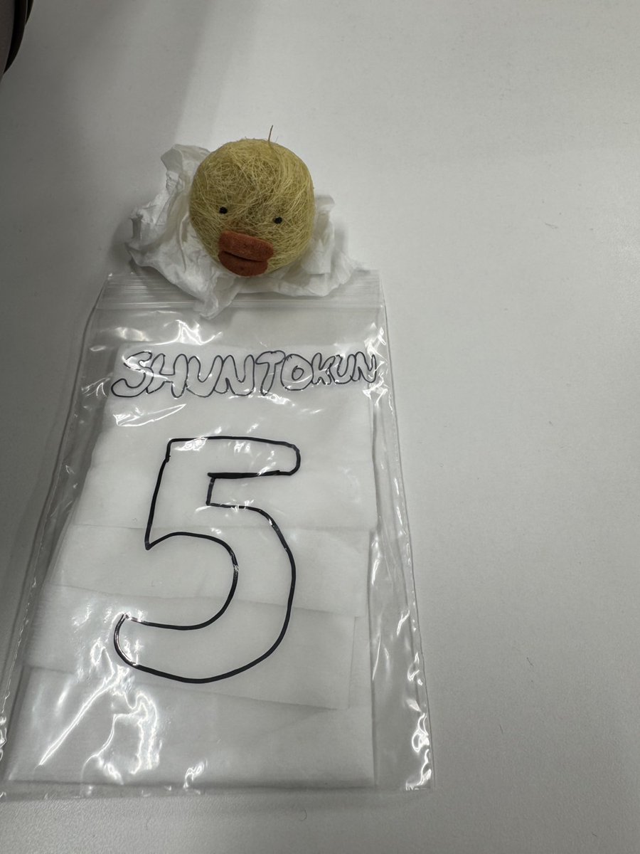 切った髪の毛のひよこちゃん

#HAPPYBESTYDAY
#BEFIRST #SHUNTO
#BF_Spacecraft #BF_Sailing
#BEFIRSTが公式ジャックします