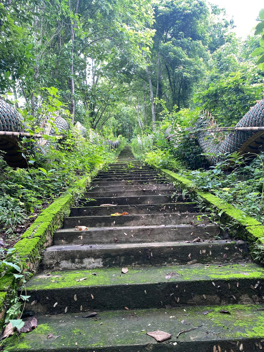 Readersflow tweet media