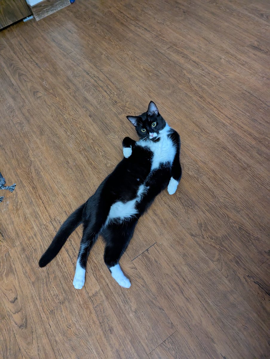 Two pics that perfectly encapsulate the vibes of the weekend ahead🙂‍↕️