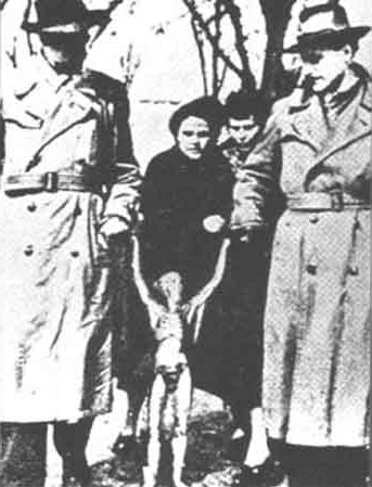 @reimeino_sora …こんな感じになってしまうらしぃ八神のおじさまなのか(笑)

…つか、折りたたみ式携帯ベビーカーの発想と実物があったってのがすごいですな!…ちょっと危ないですけども😂 