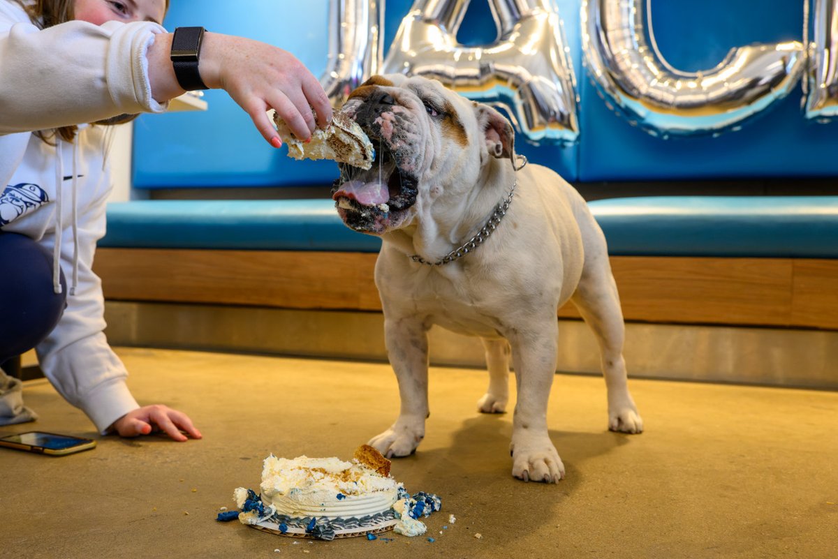 The first Hoyas Fun Friday of 2025 (our monthly happy hour series) will take place at TRU wine bar in Chapel Hill from 6-8 p.m. Join us on February 21 to connect with local Hoyas as we celebrate our club's 7th birthday. See you there!
