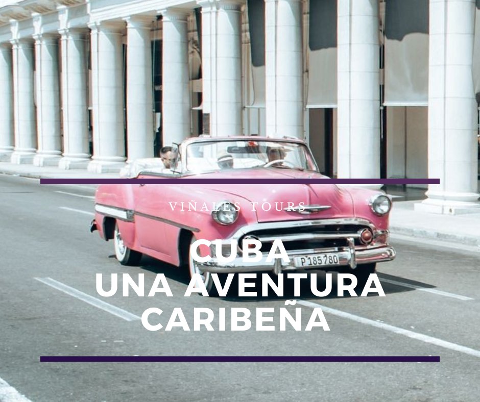 Vinales_Tours's tweet photo. Sumérgete en la esencia de La Habana: una ciudad llena de historia, cultura vibrante y belleza arquitectónica. 🏛️🌴 Con nuestra tour operadora, tu viaje será una experiencia única y libre de preocupaciones. ¡Prepárate para descubrir #LaHabana al máximo! ✈️✨ https://t.co/jbKY0gXp1P