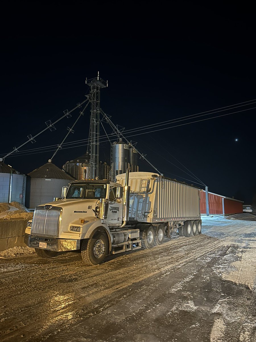 Here i finally find a good used glider, and trump and Elon will probably get rid of emissions! lol