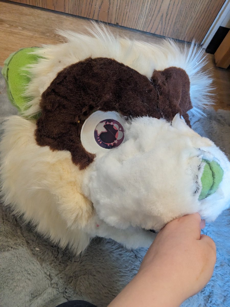 Looking to sell this unfinished head. Comes with all the fur needed to finish, and minky for the mouth + nose. Fur isn't glued down. Built on a custom foam base. Eyes are dye sub. Unlined. 

$250 OBO. Shipping included within the US

#furry #fursuit #fursuitmaker