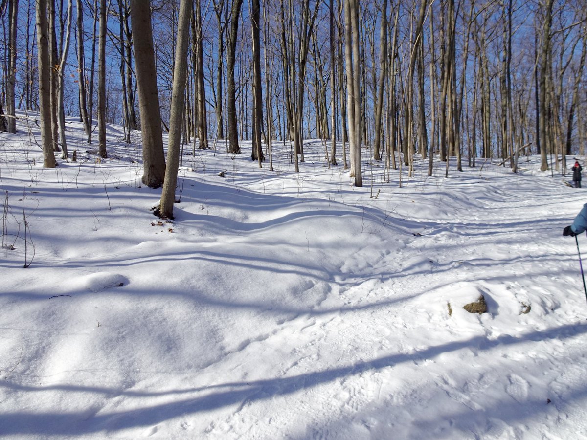 Winter hike Feb. 5. Cold but bright sun made it very special hike.