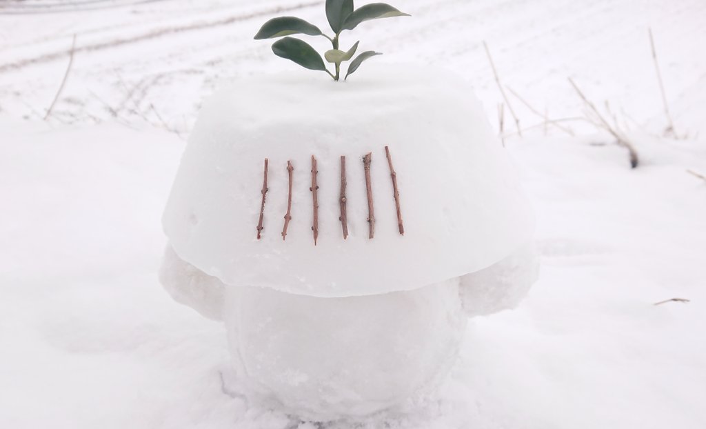 雪左衛門さんにお越しいただきました🎀